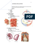 7.sistema Circulatorio