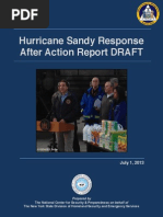 Download Sandy Draft After-Action Report by Casey Seiler SN205727357 doc pdf