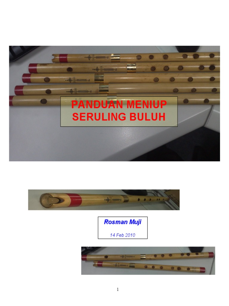 FLute Handling | PDF