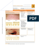 Cuadro Diagnostico n.1