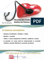 JAIR - Biofísica Do Sistema Circulatório