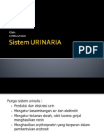 Sistem URINARIA Kak Ciu