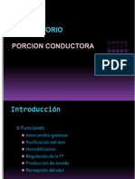 sistemarespiratorioporcionconductora-101016004414-phpapp01.ppt