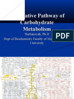 Alternative Pathway of Carbohydrate Metabolism