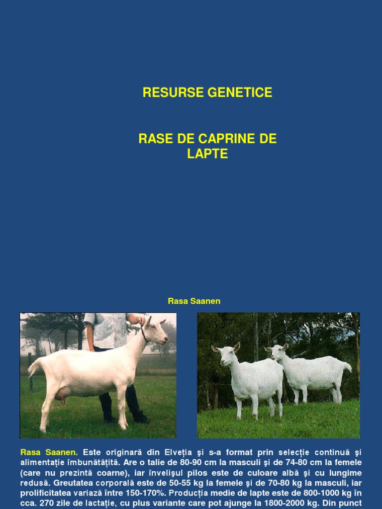 Rase Caprine | PDF