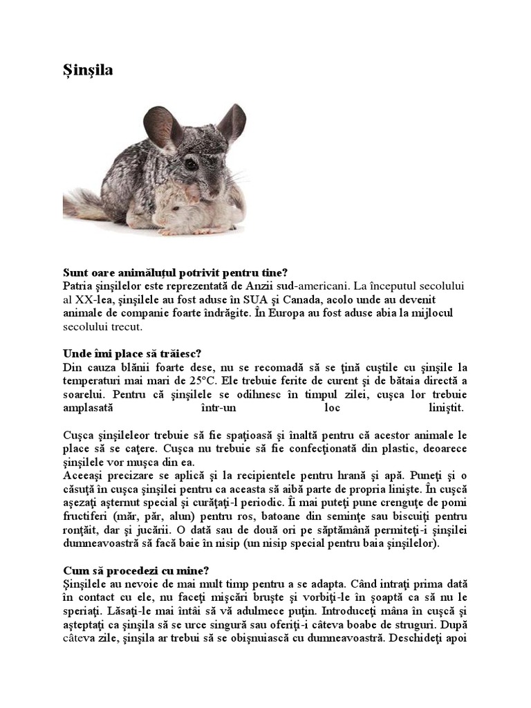 Sinsila Articole | PDF