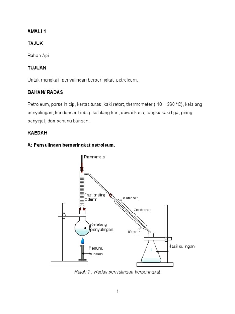 Amali1 BHN API | PDF