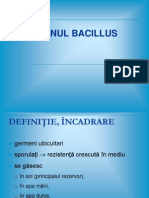 Genul Bacillus