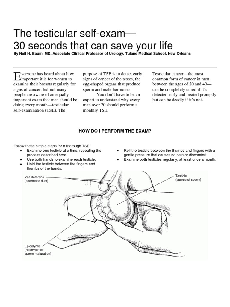 Testicular Selfexam | Download Free PDF | Testicle | Cancer