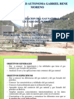 Industrializacion Del Gas-Expo