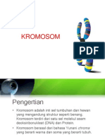 KROMOSOM