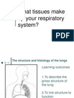 Gross Structure of Lungs1