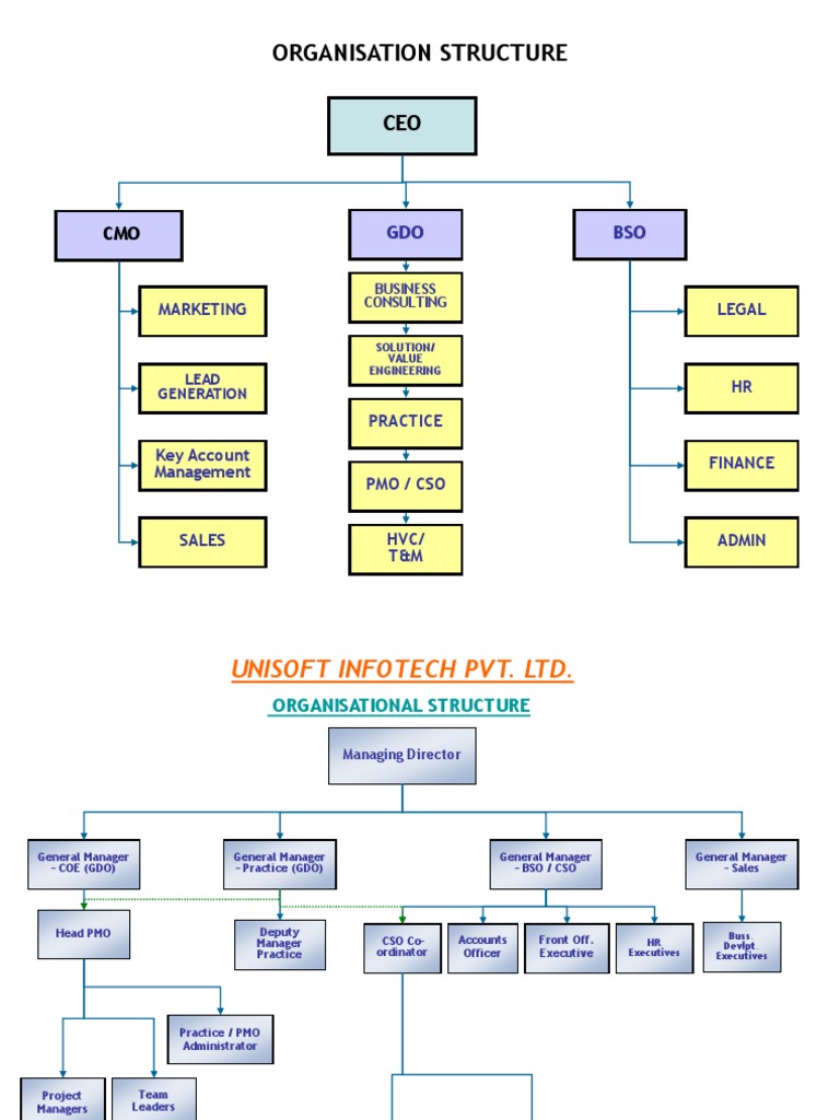 UII Organization Structure | PDF