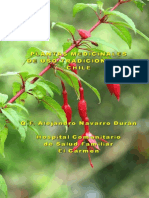 plantasmedicinalesdeusotradicionalenchile-101003013521-phpapp01