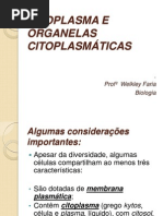CITOPLASMA E ORGANELAS CITOPLASMÁTICAS- Pré-enem