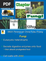 Download Fungi 2009 by cbyeap SN20585294 doc pdf