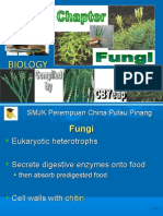 Fungi 2009