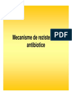 Curs Antibiotice 2