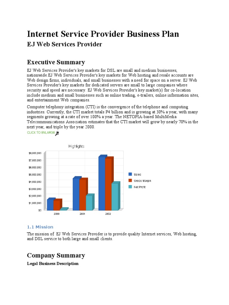 Service Provider Business Plan PDF Digital