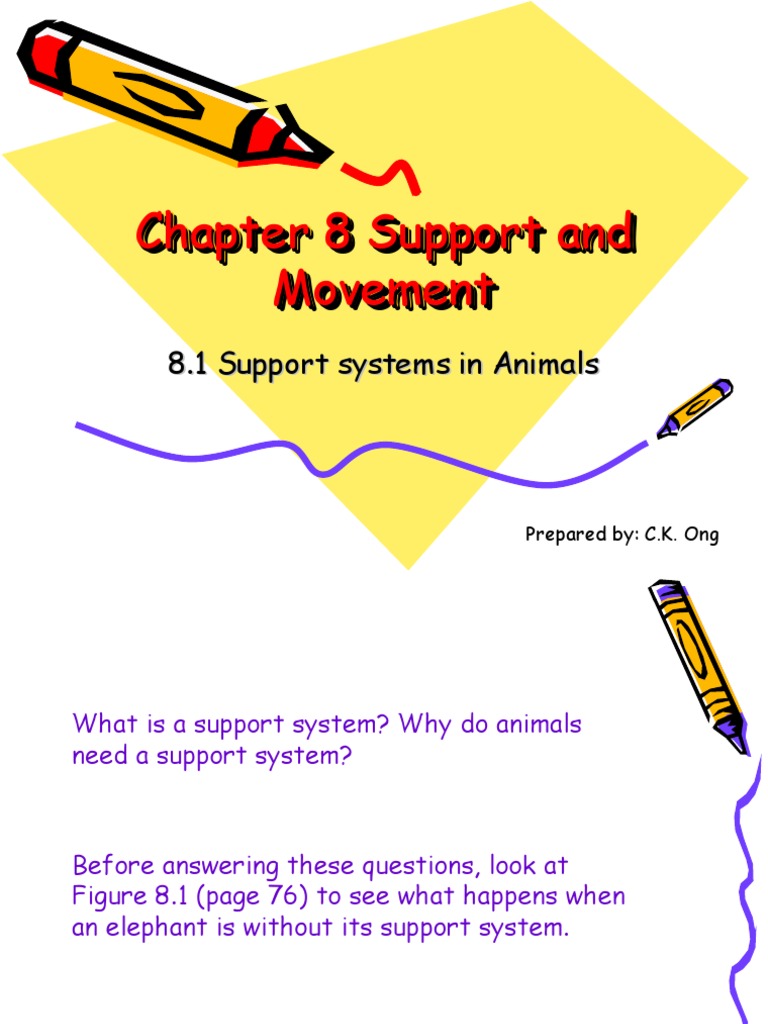Human Support System | PDF