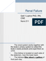 Renal Failure