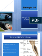 B7 - Obtenção de Matéria Pelos Seres Heterotróficos - Parte II