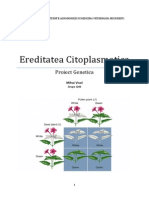 Androsterilitatea