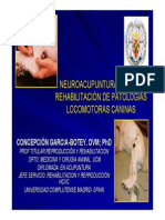 Neuroacupuntura Patologias Caninas