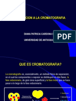 Cromatografia Generalidades NR