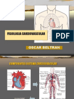 Gasto Cardiaco