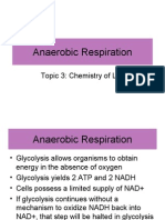 Anaerobic Respiration: Topic 3: Chemistry of Life