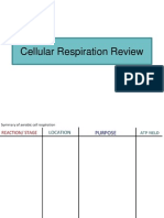 Cell Resp Recap PPT 6 Student Version