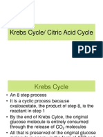 Krebs Cycle PPT 4