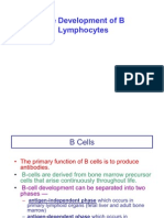 B Cell Development