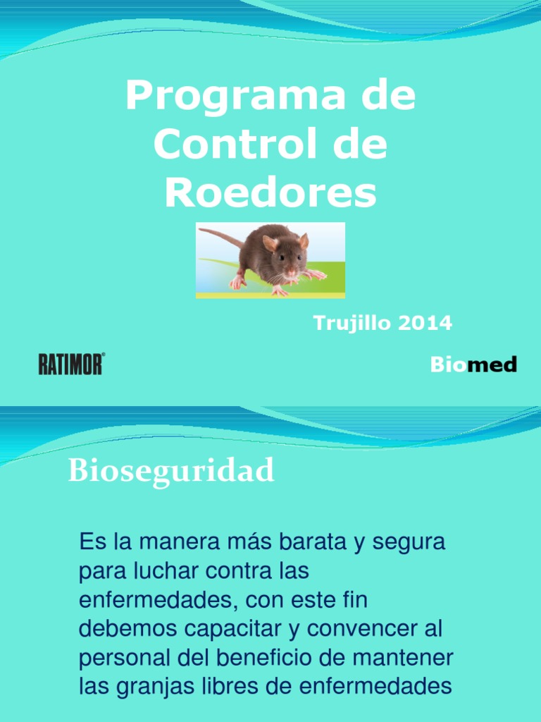 Control Roedores | PDF | Rata | Roedor
