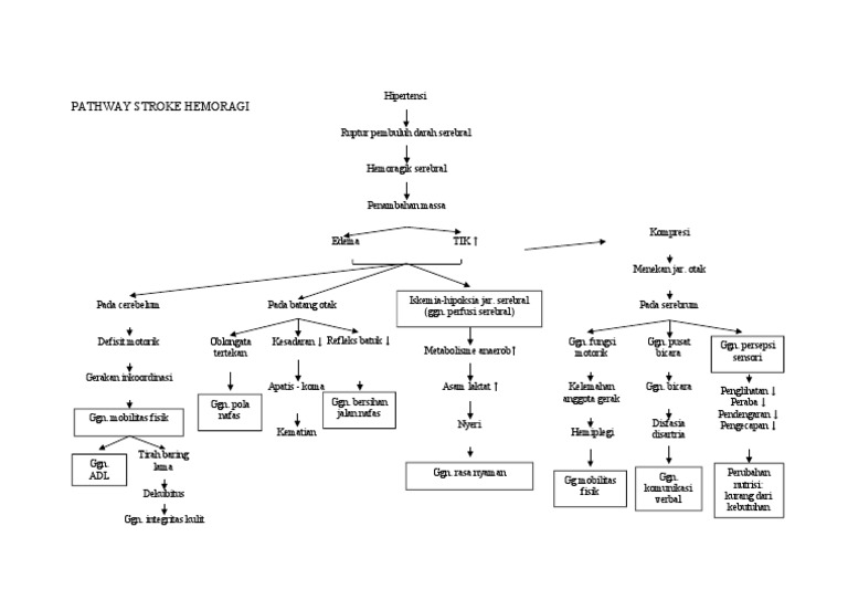 Pathway Stroke Hemoragik