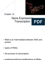 Genetics Chapter 10