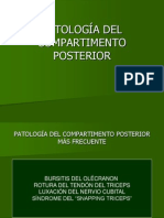 Patologa Del Codo Posterior