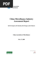 China Microfinance Industry Assessment Report