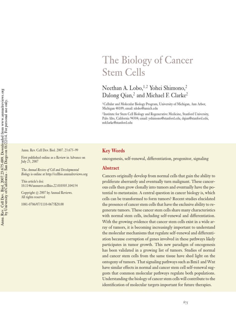 Cancer Stem Cells and Tumor Biology | PDF | Stem Cell | Carcinogenesis