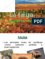 La Taiga