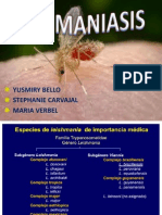 LEISHMANIASIS Cutanea y Generalidades