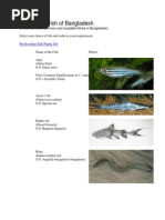 Indian Fish Names in Multiple Languages | PDF | Fish | Aquatic Animals