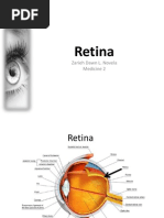 Retina.pptx