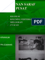 Susunan Saraf Pusat