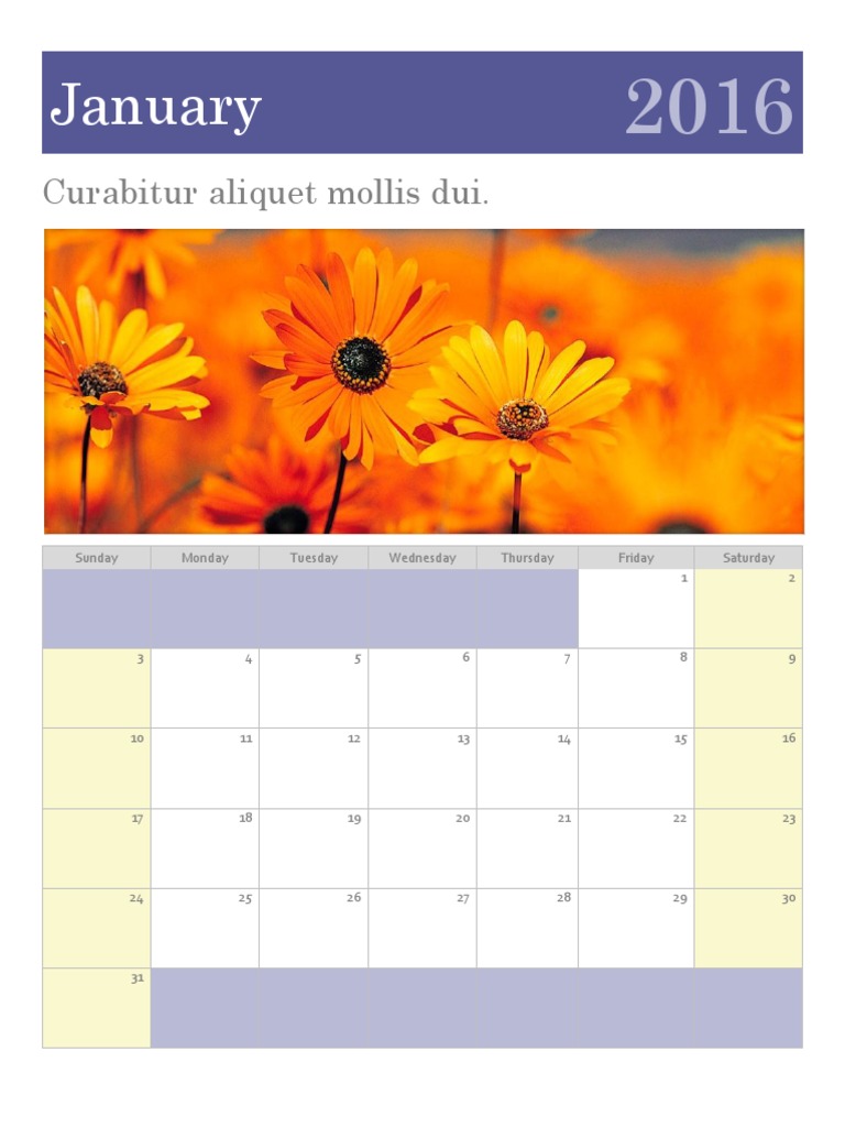 January 2016 Calendar Overview | PDF
