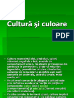 Cultura Si Culoare PPT