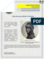 SILVIO PETTIROSSI - Especial Informativo Febrero 2014 - PORTALGUARANI PDF