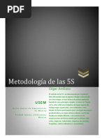 Metodologia de Las 5S USEM