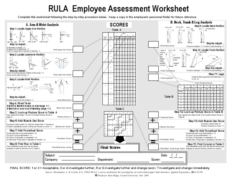 RULA Worksheet Ergonomics PDF Musculoskeletal System Human Anatomy